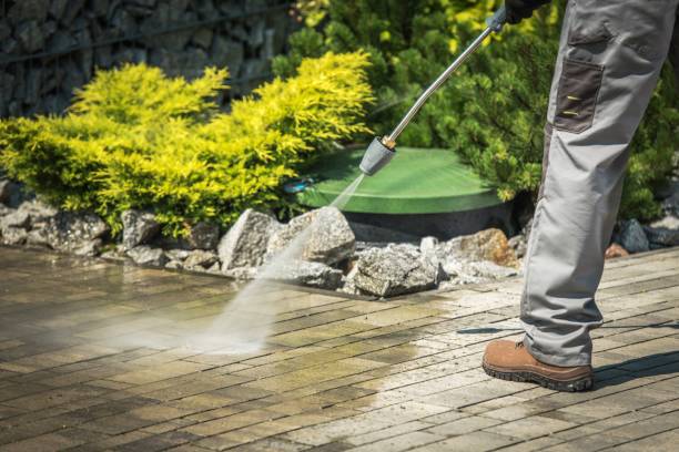 Best Roof Washing  in Inverness Highlands South, FL