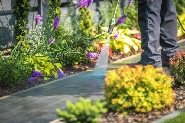 Best Restaurant Pressure Washing  in Inverness Highlands South, FL
